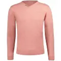 Deeluxe Single V-hals Sweater