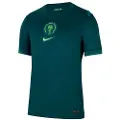 Nike Nigeria 2025 Stadium Home (kvindehold) Nike Dri-FIT Replica-fodboldspillertrøje til mænd - blå