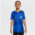 Nike Brasilien 2025 Stadium Away (kvindehold) Nike Dri-FIT Replica-fodboldspillertrøje til større børn - blå
