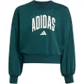 Adidas Sweatshirts adidas Seasonals Essentials Collegiate Typography Crewneck Sweatshirt K barn 11 / 12 år