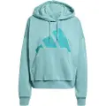 Adidas Essentials Big Logo French Terry Loose Hættetrøje