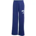 Adidas Seasonals Essentials Collegiate Typography Joggers
