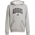 Adidas Seasonals Essentials Collegiate Typography Hættetrøje