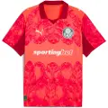 Puma KIDSUPER x SE PALMEIRAS Jersey Men, Sport, Glowing Red/Dark Crimson, XS