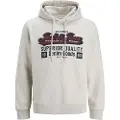 Jack & Jones Logo 2 Col Hættetrøje
