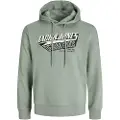 Jack & Jones Logo 2 Col Hættetrøje