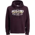 Jack & Jones Logo 2 Col Hættetrøje
