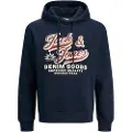 Jack & Jones Logo 2 Col Hættetrøje