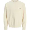 Jack & Jones Dover Print Sweatshirt