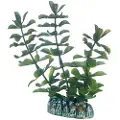 Usorteret Bacopa 13 cm