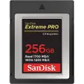 SanDisk Sdcfe-256g-gn4nn Hukommelseskort 256 Gb Cfexpress 256gb Cfexpress