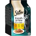 Sheba Økonomipakke: 72 x 50 g Sheba Fresh & Fine portionsposer - Kalkun, kylling og fjerkræ i gelé