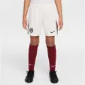 Nike Chelsea F.C. 2025/26 Stadium Away Nike Dri-FIT Replica-fodboldshorts til større børn - grå