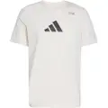 Adidas Climacool Category Training Graphic T-shirt Med Korte ærmer