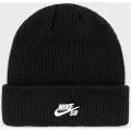 Nike Terra Beanie sort
