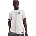 Nike Chelsea FC 2025/26 Stadium Away Nike Dri-FIT Replica-fodboldspillertrøje til mænd - grå