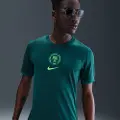 Nike Nigeria 2025 Stadium Home (kvindehold) Nike Dri-FIT Replica-fodboldspillertrøje til mænd - blå