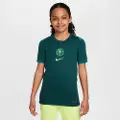 Nike Nigeria 2025 Stadium Home (kvindehold) Nike Dri-FIT Replica-fodboldspillertrøje til større børn - blå
