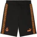 Puma Galatasaray SK KING Sweat Shorts Men, Sport, Black/Red Rhythm/Intense Orange, S