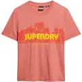 Superdry Outdoor Stripe Relaxed T-shirt Med Korte ærmer