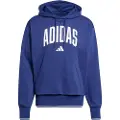 Adidas Collegiate Hættetrøje