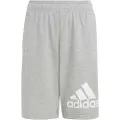 Adidas Bl Shorts