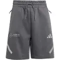 Adidas Mercedes-amg Petronas Formula One Team Silver Arrow Shorts