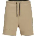 Jack & Jones Tair Sports Shorts