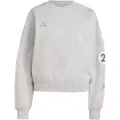 Adidas Mercedes-amg Petronas Formula One Team Silver Arrows Sweatshirt