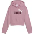 Puma Ess 2 Color Nº 1 Logo​ Hættetrøje