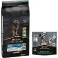 Purina Pro Plan Large Robust Puppy Sensitive Digestion Lam - Økonomipakke: 2 x 12 kg