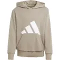 Adidas Essentials Big Logo Hættetrøje