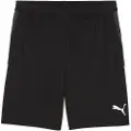 Puma Liga Shorts