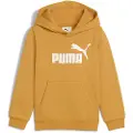 Puma ESS No. 1 Logo Fleece Hoodie Kids, Clothing, Archive Gold, 2-3Y