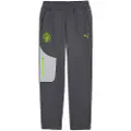 Puma Manchester City PUMATECH Sweatpants Men, Sport, Galactic Gray/Pro Green, XXL