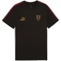 Puma RC Lens KING Tee Men, Sport, Black/Matte Gold, S