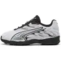 Puma Inhale Smile Sneakers Unisex, Shoes, Silver Mist/Black, 42