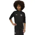 Puma Manchester City Training Quarter-Zip Top Youth, Clothing, Black/Silver, 11-12Y