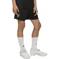 Puma Manchester City Training Shorts Youth, Clothing, Black/Silver, 7-8Y