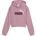 Puma Ess 2 Color Nº 1 Logo​ Hættetrøje