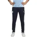 Puma Manchester City Fc 25/26 Træning Bukser