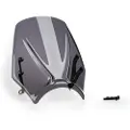 Puig New Generation Sport Triumph Trident 660 2025 Forrude
