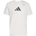 Adidas Climacool Category Training Graphic T-shirt Med Korte ærmer