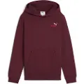 Puma Ess 2 Color Small Nº 1 Logo Hættetrøje