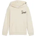 Puma Super PUMA Hoodie Kids, Age, Alpine Snow, 3-4Y