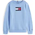 Tommy Hilfiger Kids Script Flag Sweatshirt
