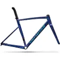 Specialized Allez Sprint 2026 Landevejscykelramme