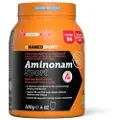 Named Sport Aminonam Sport Restitutionsdrikpulver 500g