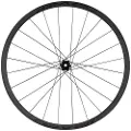 Specialized Roval Control Sl Vi Solix 29´´ Cl Disc Tubeless Mtb Baghjul