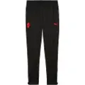 Puma AC Milan Training Pants Men, Sport, Black/Red, XXL